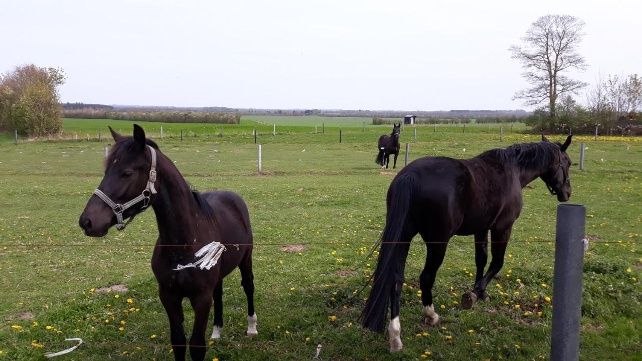 Landstedet *